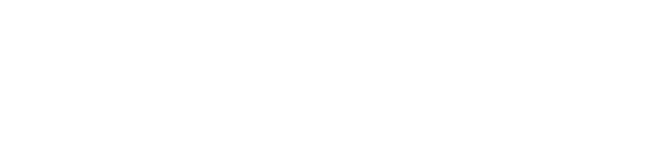 S.I.N GROUP COMPANY グループ企業概要